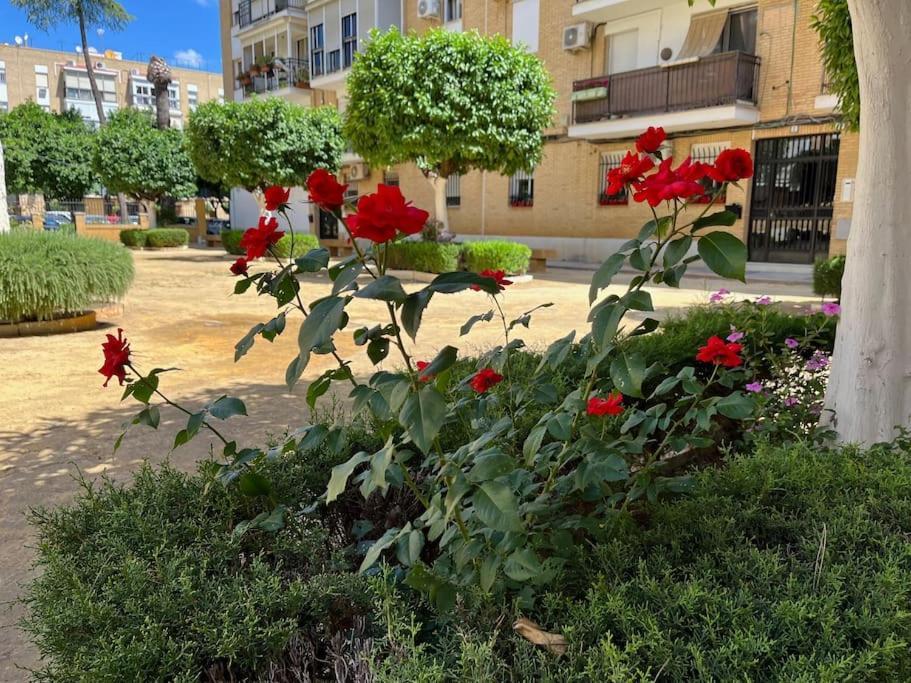 Triana Family Suites Севилья Экстерьер фото